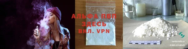 индика Белоозёрский