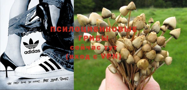 каннабис Балабаново
