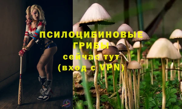 кокаин Белокуриха