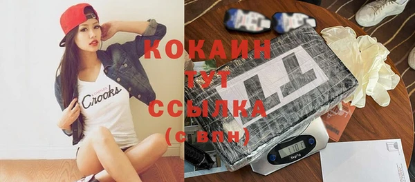индика Белоозёрский