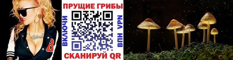 Псилоцибиновые грибы Magic Shrooms  Семикаракорск 