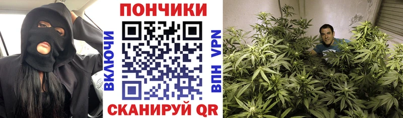 Марихуана OG Kush Семикаракорск